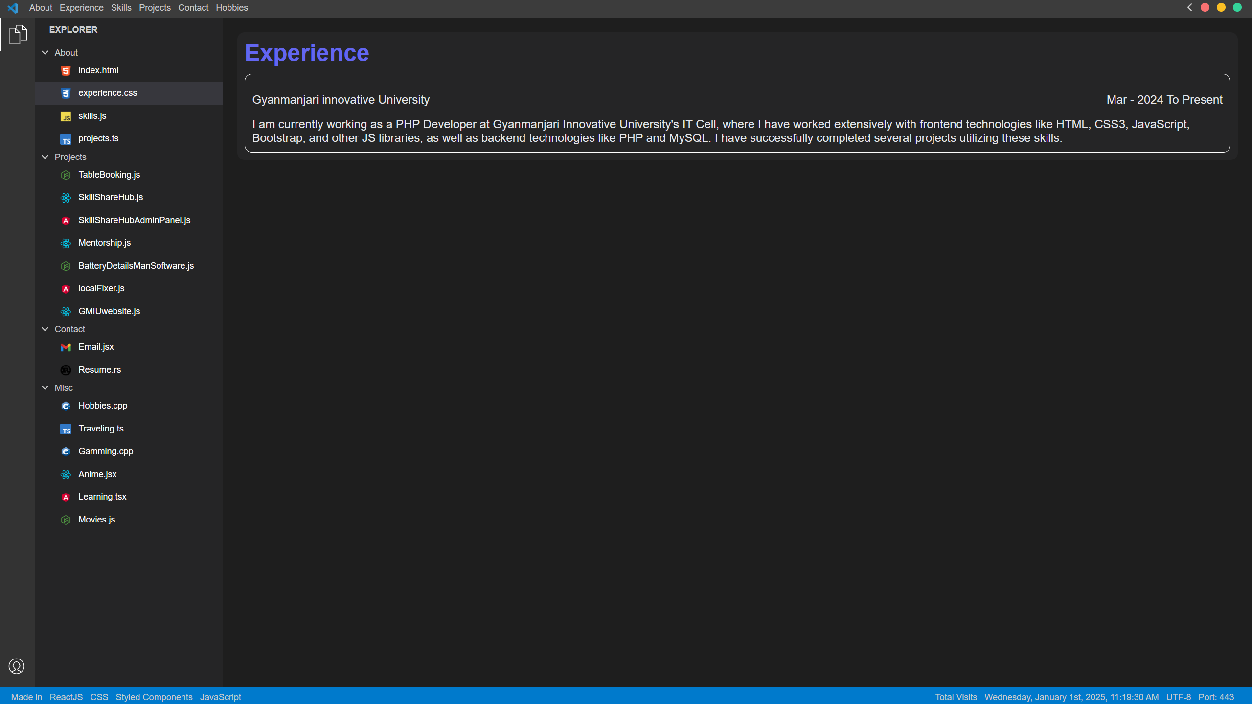 VS Code Theme Portfolio Screenshot 3